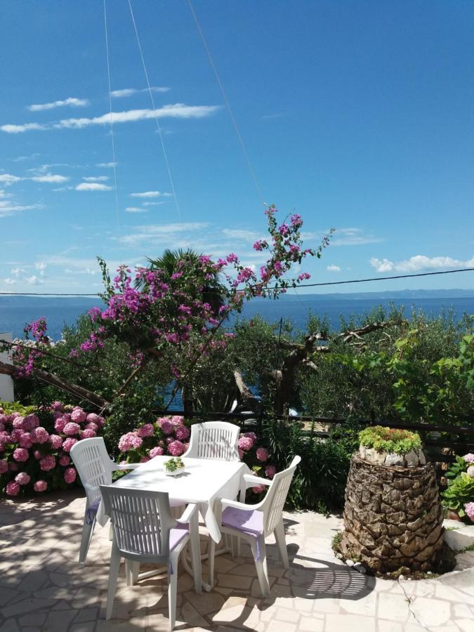 Apartment Hortenzija Baška Voda Екстериор снимка