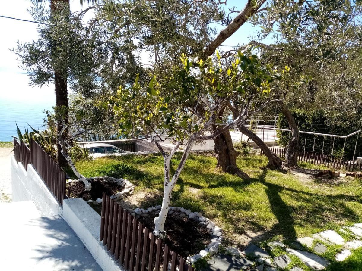 Apartment Hortenzija Baška Voda Екстериор снимка