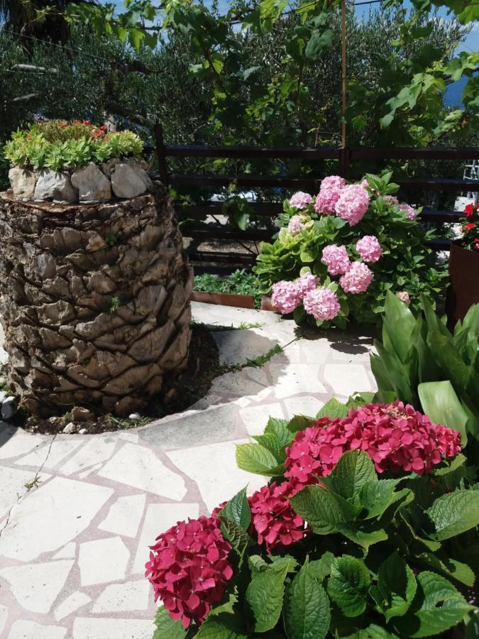 Apartment Hortenzija Baška Voda Екстериор снимка
